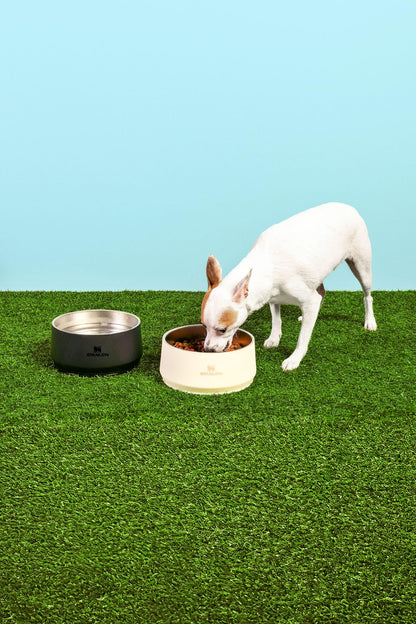 STANLEY Pet Bowl | 3. Chosen for real quality, fits naturally into modern pet homes.