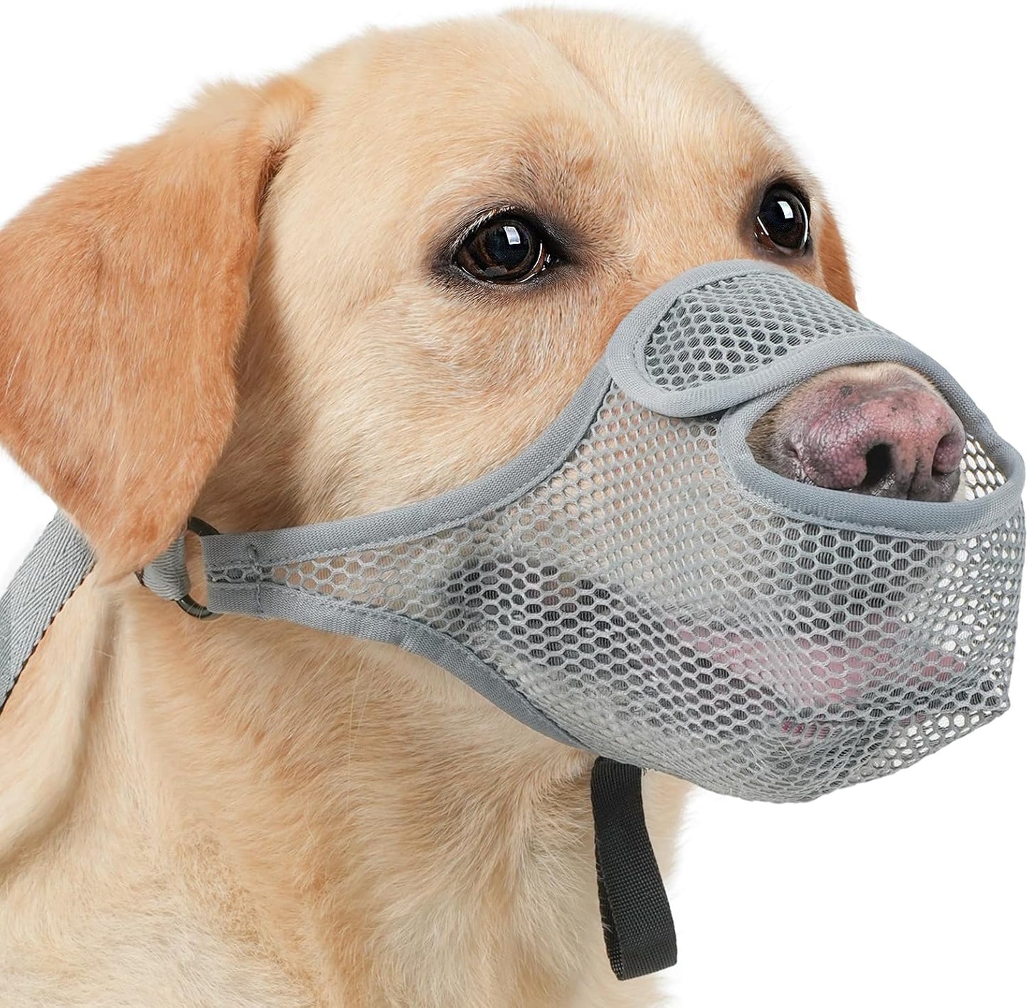 LUCKYPAW Dog Muzzle for Large Medium Small Dogs, Patented Mesh Muzzle to Prevent Biting Chewing Eating, Soft Mouth Guard with Front Opening Design for Drinking Panting(Grey, S)