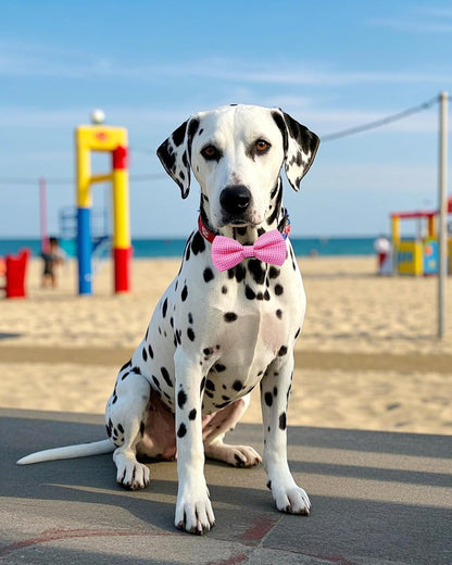 PET SHOW 8 Pack Dot Big Dogs Collar Embellishment Attachment Bow Ties for Medium Large Dogs Collar Charms Accessories Slides Bowties for Birthday Wedding Parties Assorted