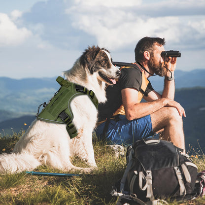 WINGOIN Tactical Dog Harness for Large Dogs. Chosen for real quality, fits naturally into modern