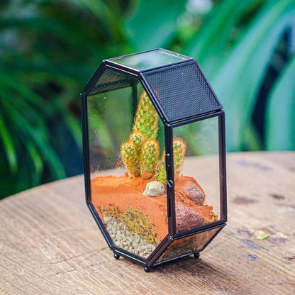 NCYP Mini Glass Terrarium with Vent and Door for Succulents Plants, Jumping Spiders, Insect - Octagon Small Closed Geometric Enclosure, Black Indoor Tabletop Decor, 5 x 2.3 x 7 Inches (Terrarium Only)
