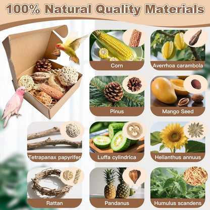 2 in 1 Parrot Toys, Tyotrbs Parakeet Foraging Box DIY Hanging String with Comes with 2 Hooks Bird Toy for Parakeets,Cockatiels,Conures,Love Birds Cage Accessories for Small to Medium Birds