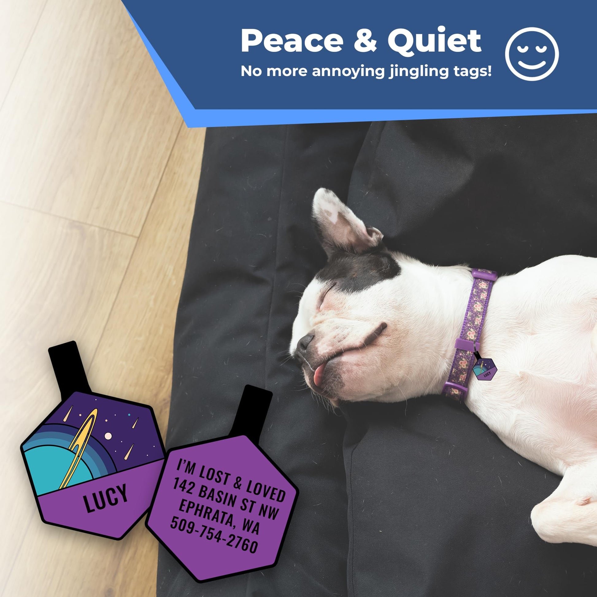 GoTags Silent Dog Tag. Chosen for real quality, fits naturally into modern pet homes.