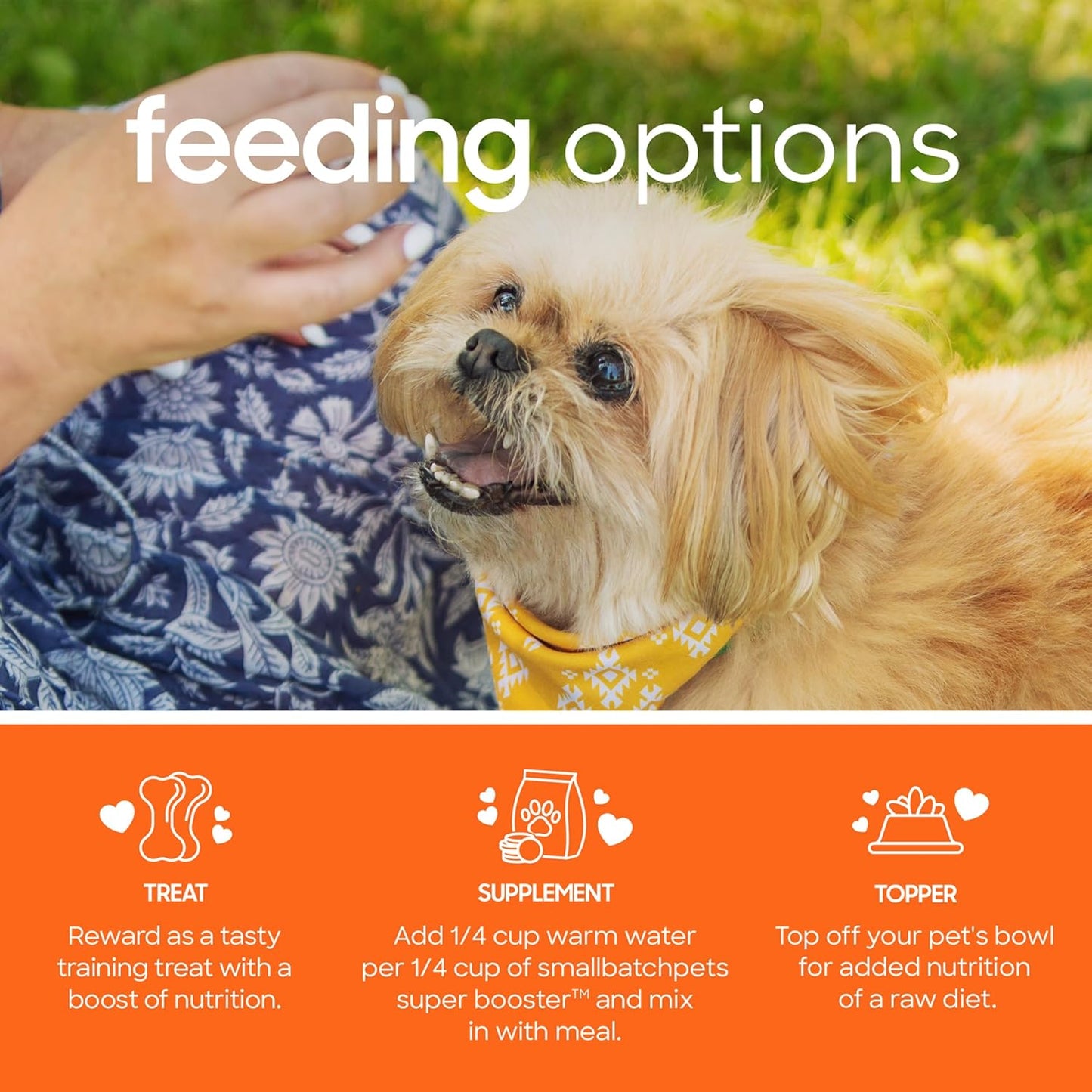 smallbatch Freeze Dried Dog Treats, Superfood Food Topper Chicken Bites for Dogs & Cats, Probiotics, Organic Ingredients, High Protein, Grain Free Healthy Treat Food Topper, Made in The USA, 7 oz Bag