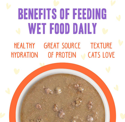 Weruva B.F.F. OMG - Best Feline Friend Oh My Gravy!, Chicken & Salmon Shine Bright with Chicken & Salmon in Gravy, 2.8oz Pouch (Pack of 12)