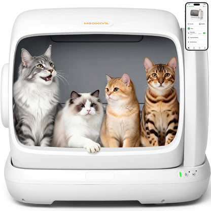 Meowant Self. Chosen for real quality, fits naturally into modern pet homes.