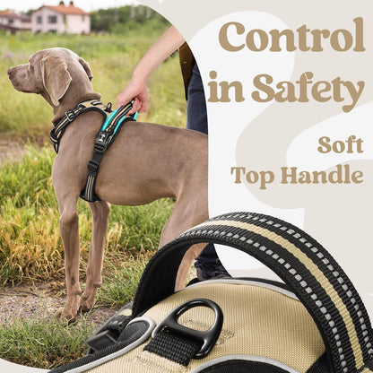 rabbitgoo Dog Harness for Large, No Pull Pet Harness with 3 Buckles, Adjustable Soft Padded Vest with Control Handle, Walking Reflective Pet Vest for Extra Large Dogs, Beige, XL