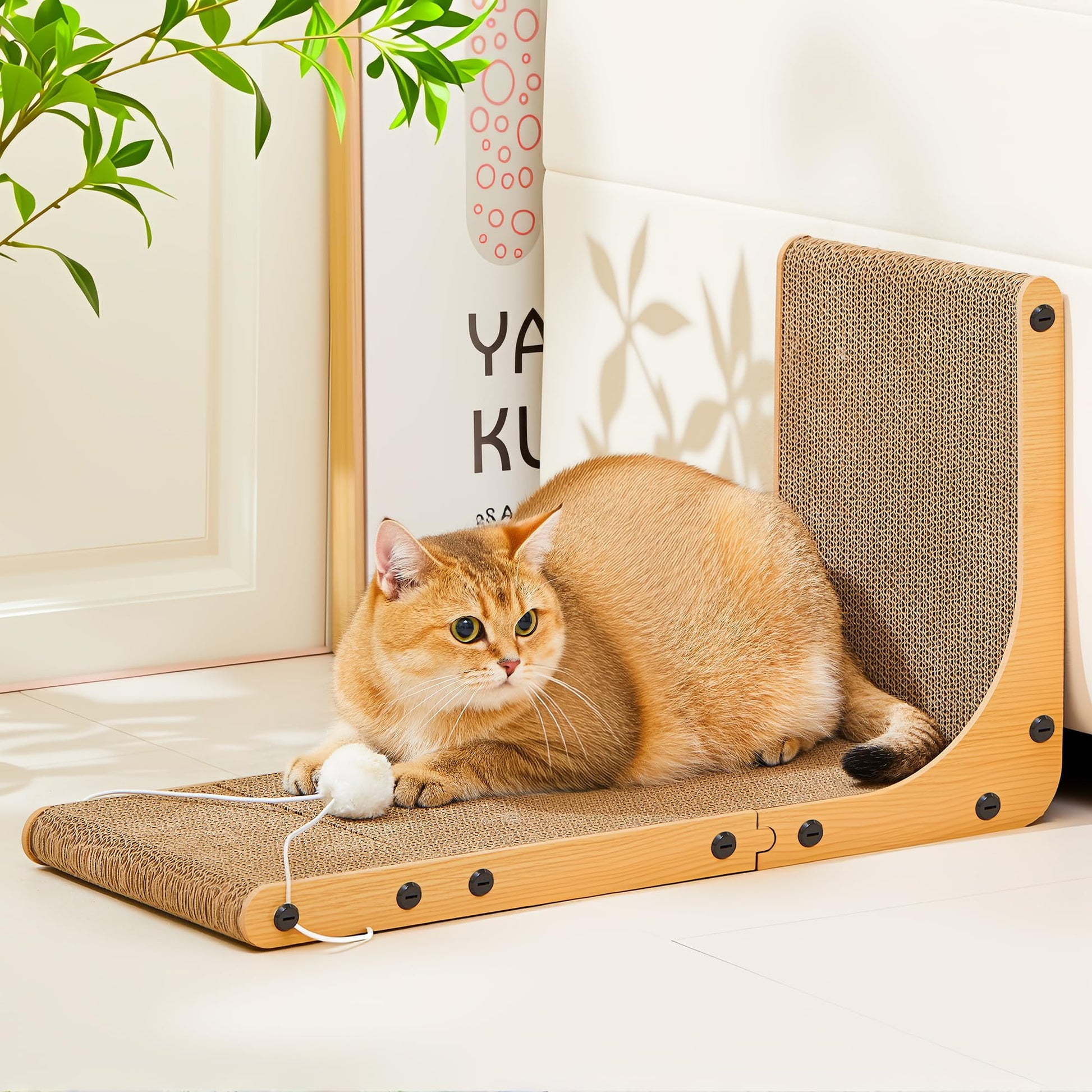 Markarbarka Value 2. Chosen for real quality, fits naturally into modern pet homes.