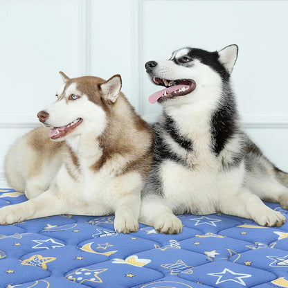 Bubble bear Dog Crate Mat - Ultra Soft, Washable & Anti-Slip Kennel Pad for Small/Medium/Large Dogs, Dark-Hued to Hide Stains (36"x23")