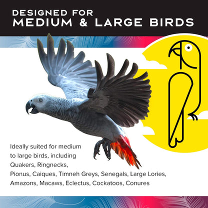 Featherland Paradise - Foraging Ball with Bell Interactive Bird Toy and Treat Dispenser - Creative Foraging Systems - Ideal for Medium to Large Birds