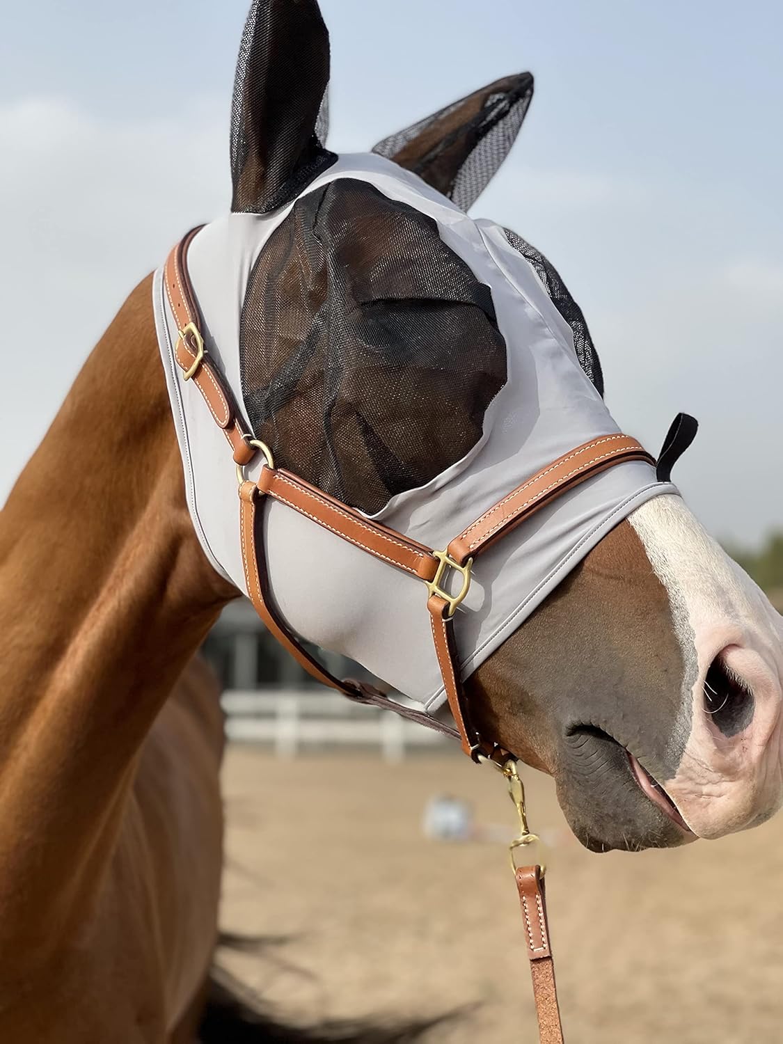 Horse Fly Mask Super Comfort Horse Fly Mask Elasticity Fly Mask with Ears We Only Make Products That Horses Like… (Gray, M)