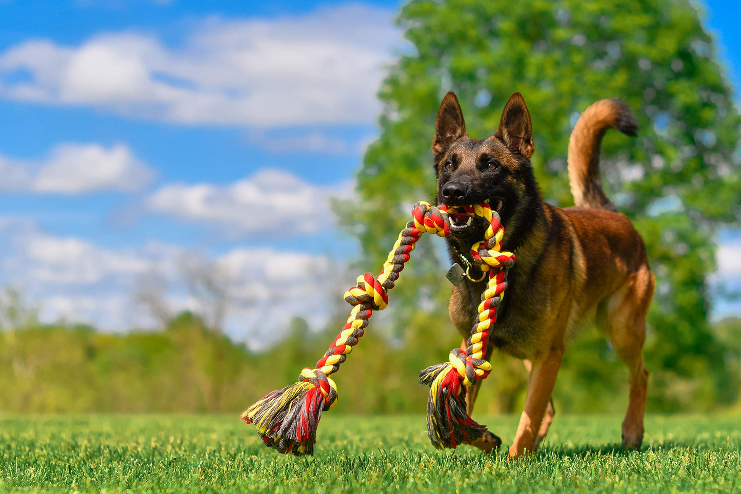 Mammoth Flossy Chews Multi Color 5 Knot Rope Tug. Chosen for real quality, fits naturally into