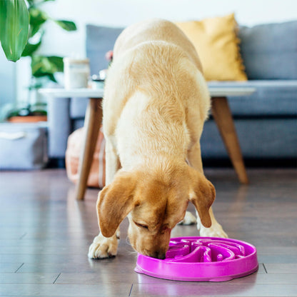 Outward Hound Fun Feeder Slo Bowl. Chosen for real quality, fits naturally into modern pet homes.