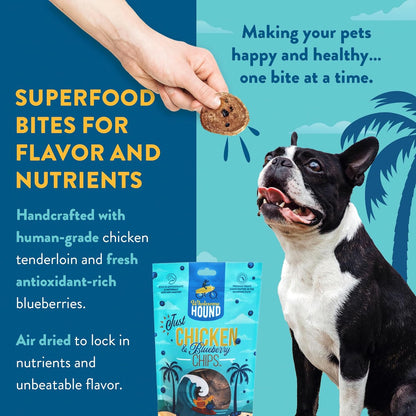 Chicken & Blueberry Chips – 2 Simple Ingredient Dog Treats, All Natural & Healthy Training Snacks for Small, Medium & Large Breeds, Puppies – High Protein, Made in USA, 7oz