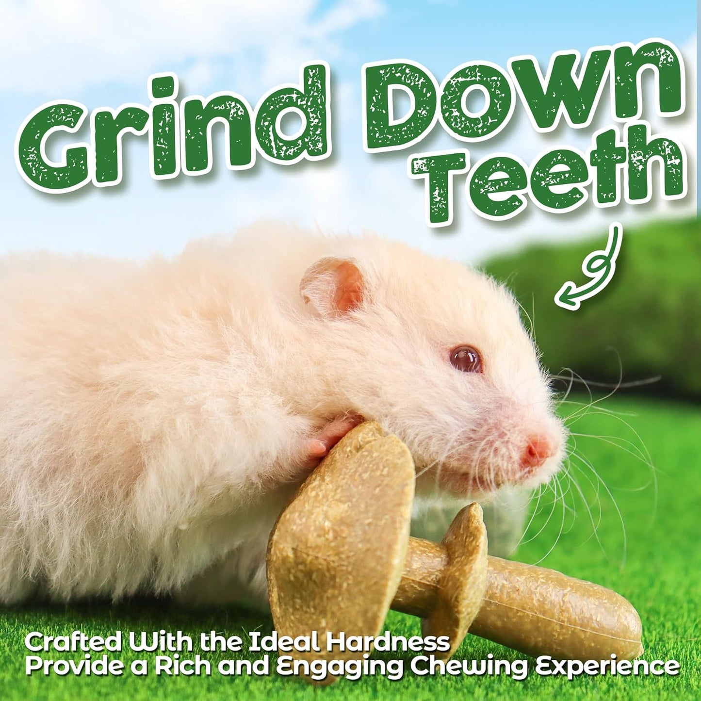 TEEWY 4PCS Guinea Pig Chew Toys, Prevent Teeth Overgrowth, Natural Vegetables and Timothy Grass, Hamster Chew Toys, Guinea Pig Toys, Chinchilla Toys, Grass Patch & Mushrooms