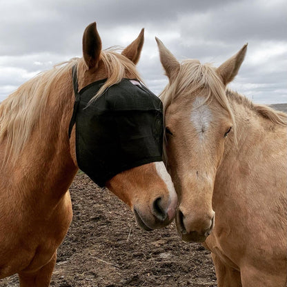 EquiVizor 95% UV Eye Protection (Mini) Standard Horse Fly Mask - Help with Uveitis, Corneal Ulcer, Light Sensitivity. Designed to Stay On Your Horse, Off The Ground.