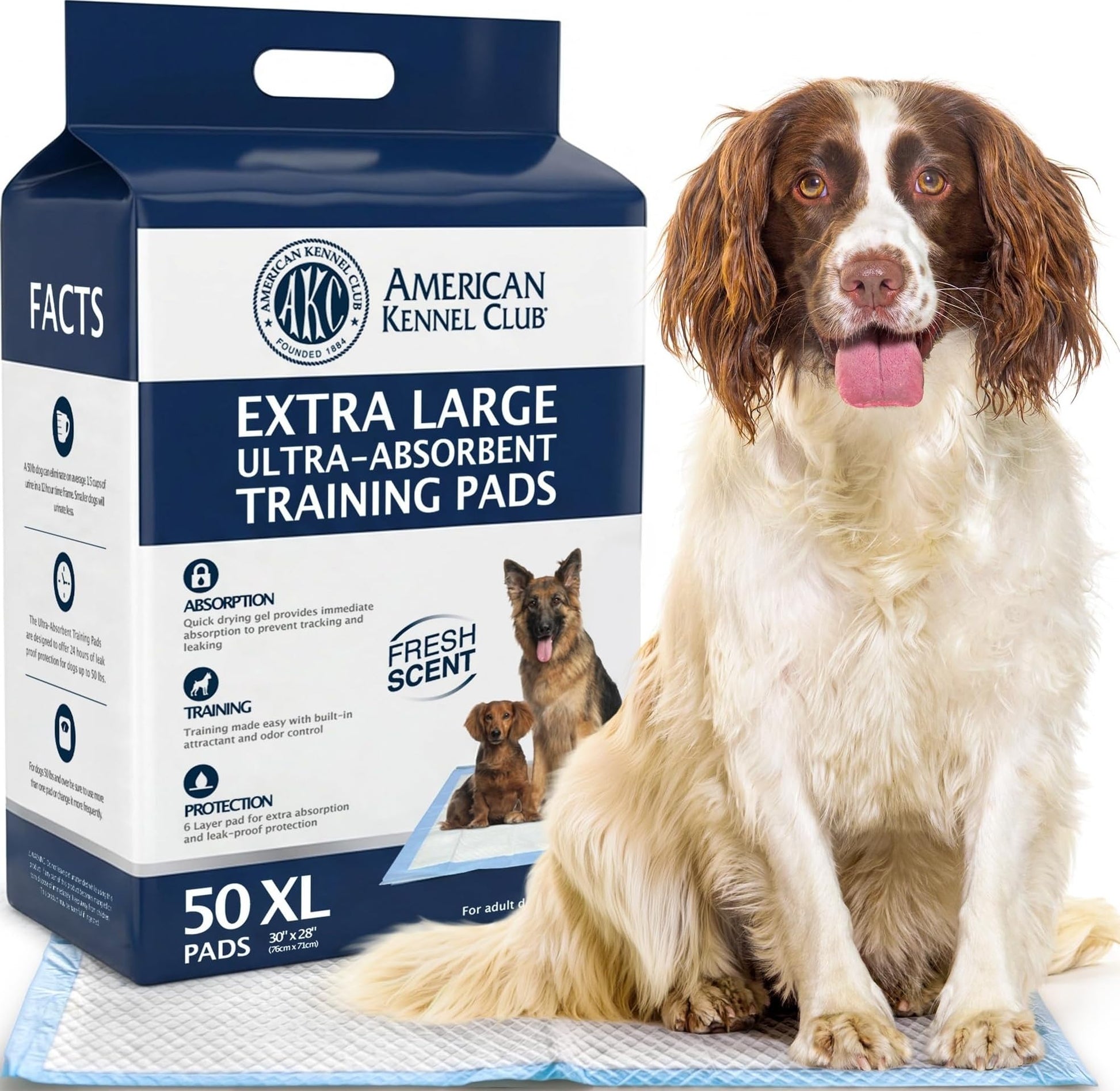 AKC Dog Training Pads. Chosen for real quality, fits naturally into modern pet homes.