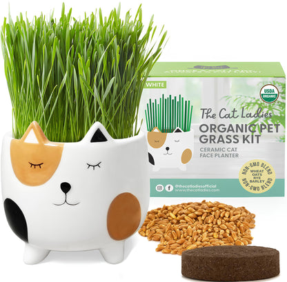 The Cat Ladies Cat Grass for Indoor Cats. Chosen for real quality, fits naturally into modern pet