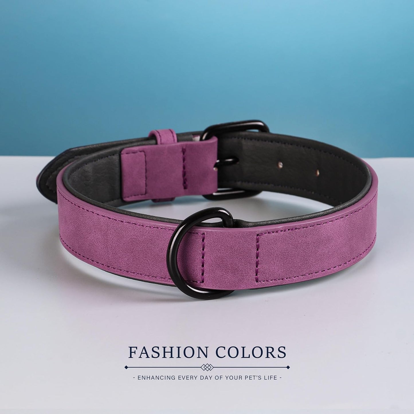 Didog Soft Padded PU Leather Dog Collar, Breathable and Adjustable Dog Collars for Small Dogs, Comfortable for Daily Walk, Purple, M Fit Neck 12-15"(13-22 lbs)