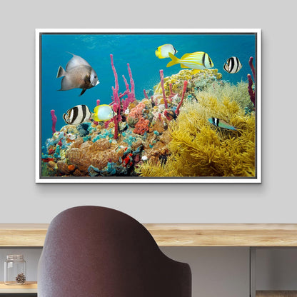 wall26 Framed Canvas Print Wall Art Deep Sea Marine Fish with Coral Reef Nature Ocean Photography Realism Nautical Scenic Relax/Calm Multicolor Ultra for Living Room, Bedroom, Office - 16"x24" White
