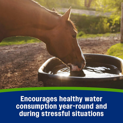 Farnam Apple Elite Electrolyte Supplement for Horses, Replaces Vital Minerals, Encourages Hydration, No Added Sugar, 7.5 lb, 40 Day Supply