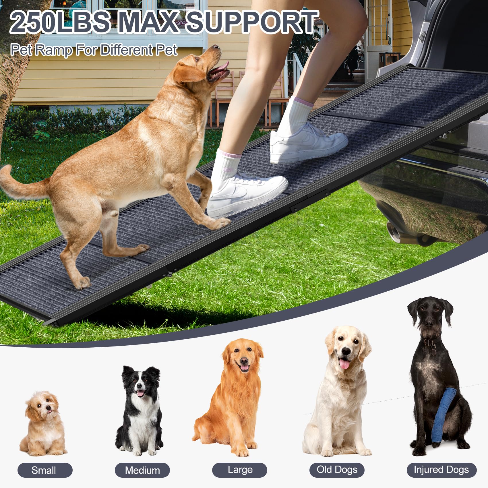 HerCcreta wigge Dog Ramp for Car 63" Long & 17" Wide. Chosen for real quality, fits naturally into