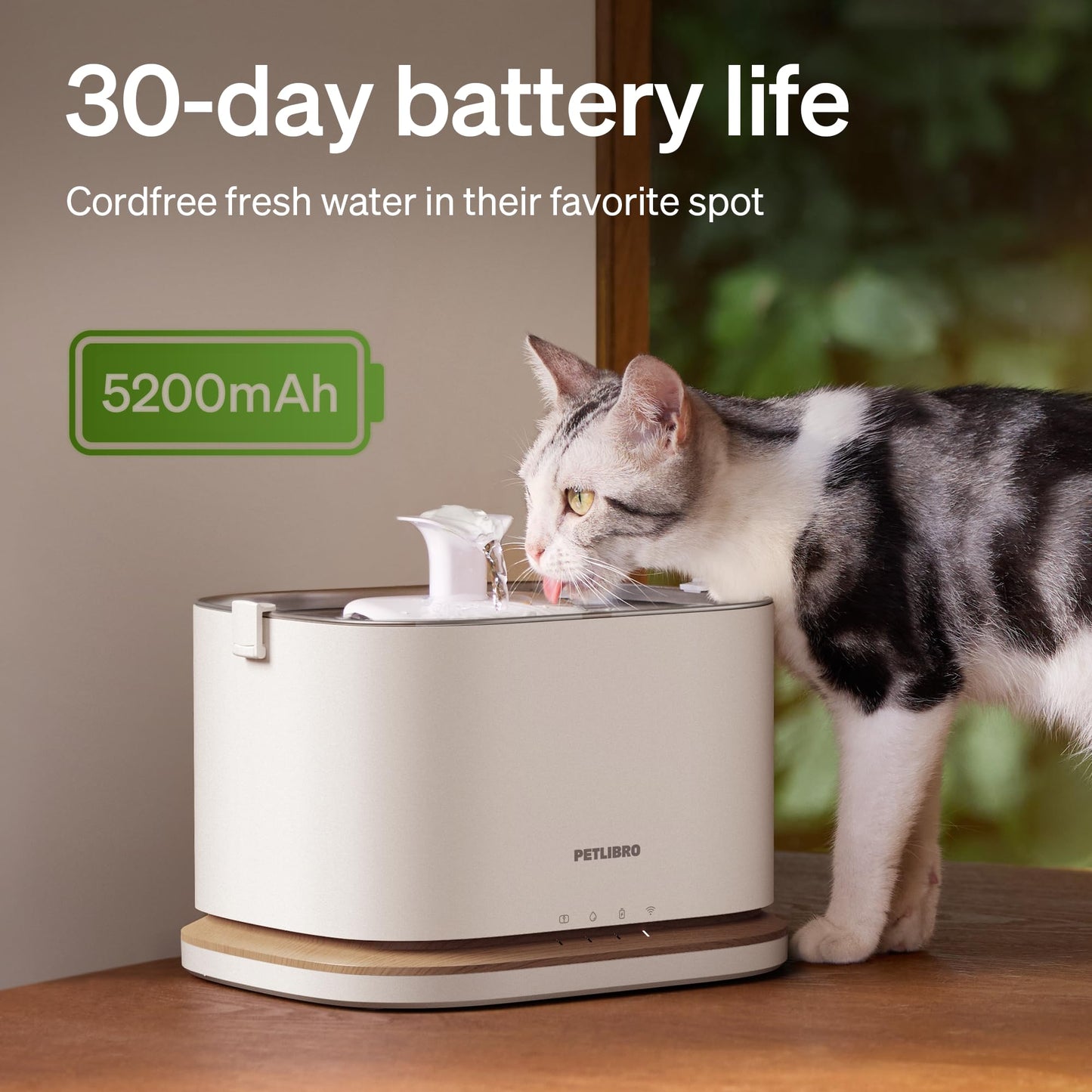 PETLIBRO Upgrade Cat Water Fountain. Chosen for real quality, fits naturally into modern pet homes.