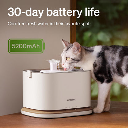 PETLIBRO Upgrade Cat Water Fountain. Chosen for real quality, fits naturally into modern pet homes.