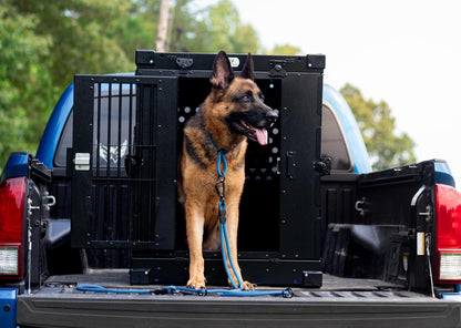 Heavy Duty Fully Collapsible Powder-Coated Aluminum Dog Crate - Large (Black)