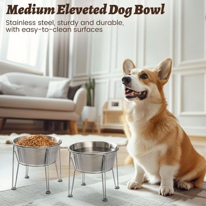 Elevated Dog Bowls for Medium&Small Dogs - Stainless Steel 48oz/6 Cups Raised Feeder with Non-Slip Base, Dual Food & Water Bowls 2-Pack