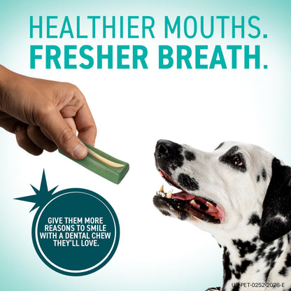 ORAVET Dental Chews for Dogs. Chosen for real quality, fits naturally into modern pet homes.