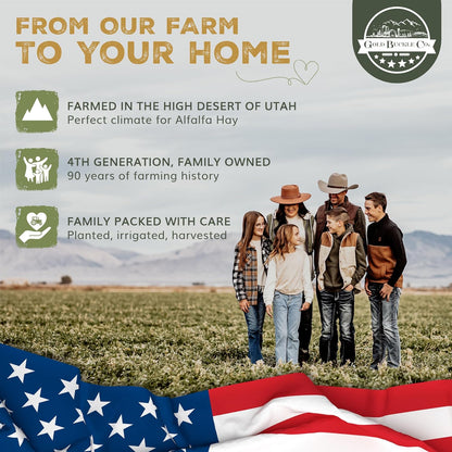 5lb Freshly Dried Organic Alfalfa Hay for Guinea Pigs, Rabbits, Chinchillas, Goats, Hamsters & Ferrets, Small Animal Food Rich in Protein & Fiber, Hand-Selected, Hand Sorted, USA Grown