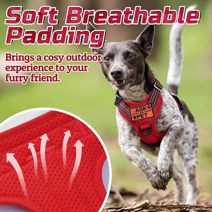 rabbitgoo Tactical Dog Harness Medium Sized Dog, No Pull Military Service Vest with Handle & Molle, Easy Control for Training Walking, Adjustable Reflective Straps, Red, M