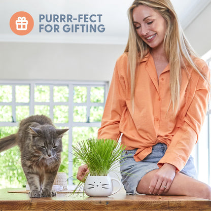 The Cat Ladies Organic Cat Grass for Indoor Cats. Chosen for real quality, fits naturally into