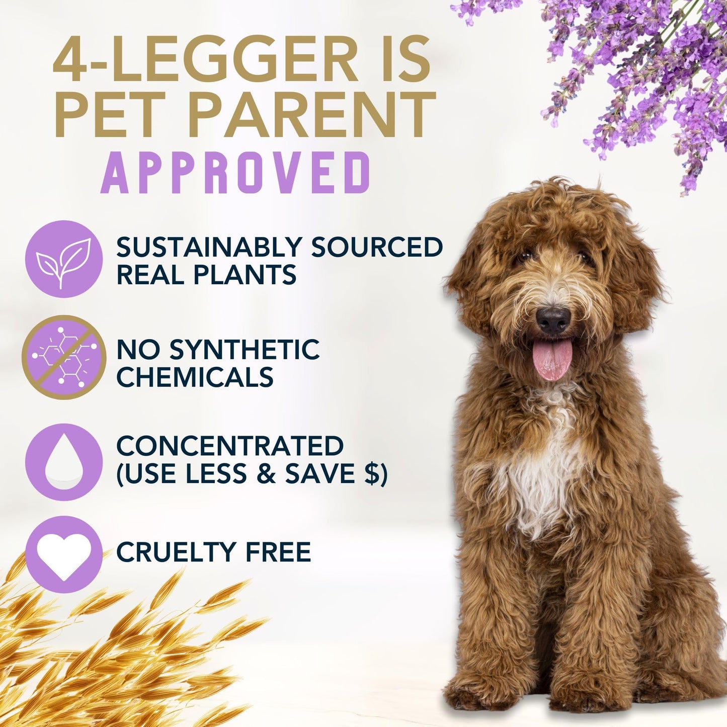 4Legger All Natural Organic Oatmeal Dog Shampoo for. Chosen for real quality, fits naturally into