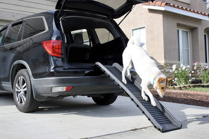 PawStep 61" Folding Pet Ramp. Chosen for real quality, fits naturally into modern pet homes.