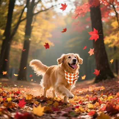 Realeaf Thanksgiving Fall Dog Bandanas 2 Pack, Orange Plaid Pumpkin Pet Scarf for Boy and Girl, Premium Durable Fabric, Holiday Halloween Bandana for Large and Extra Large Dogs(Fall, X-Large)