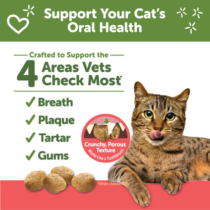 Wellness WHIMZEES Cat Dental Treats. Chosen for real quality, fits naturally into modern pet homes.