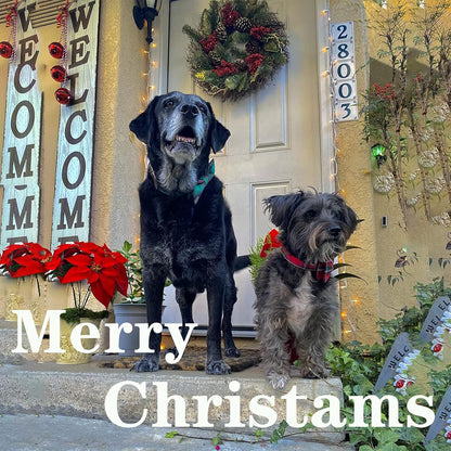 Unique style paws Dog Collar with Bow Tie Christmas Dog Collar for Small Medium Large Dogs with Adjustable Metal Buckle -L