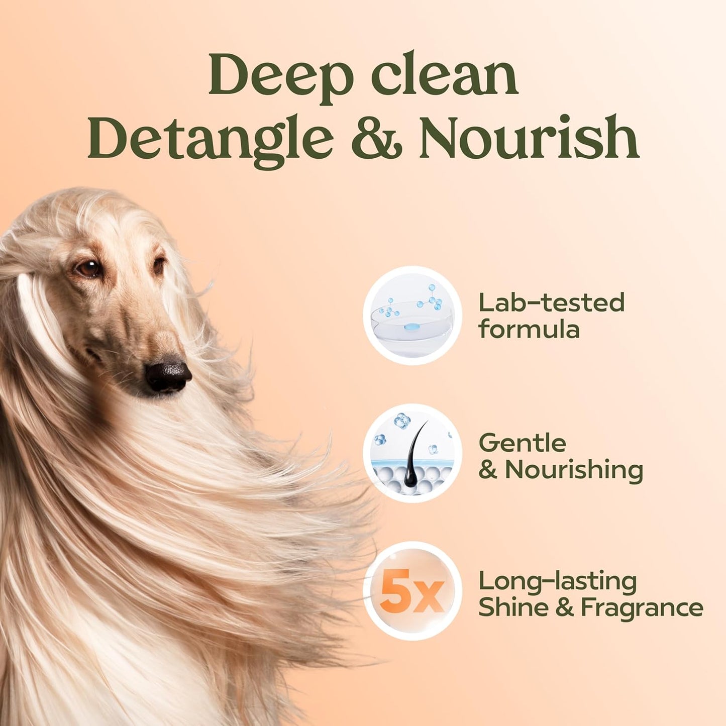 PAWFUME Deshedding Dog Shampoo and Conditioner, Show Dog, 1-Pack – Nourish & Detangle for Silky Soft Coat – Probiotic, Deep-Cleaning, pH-Balanced Formula – Salon-Quality Shampoo for Dogs