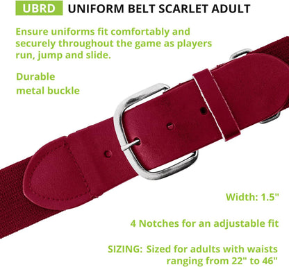 Champion Sports Baseball/Softball Uniform Belt, Comfort Stretch Fit Durable Syntex Tab - Youth & Adult Sizes, Multiple Colors