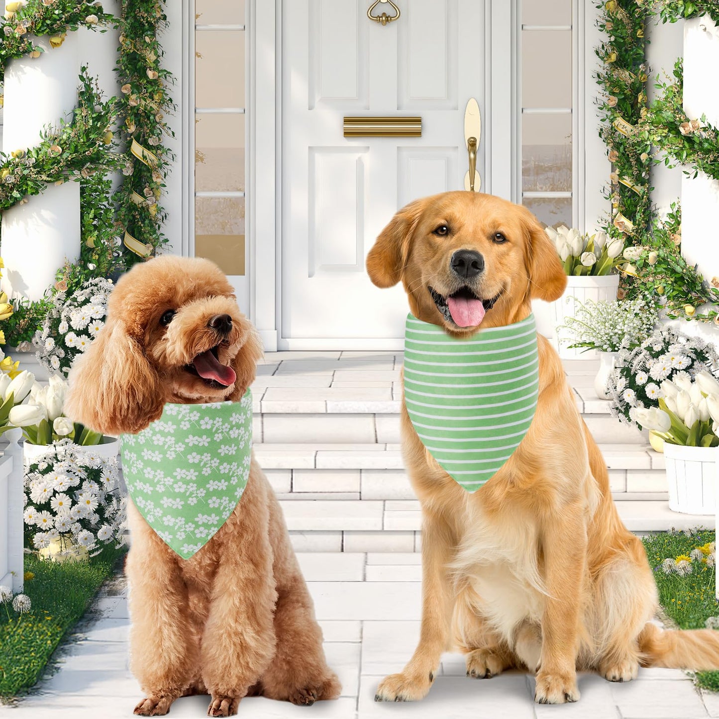 Agroon Spring Summer Dog Bandanas Large 3PCS. Chosen for real quality, fits naturally into modern