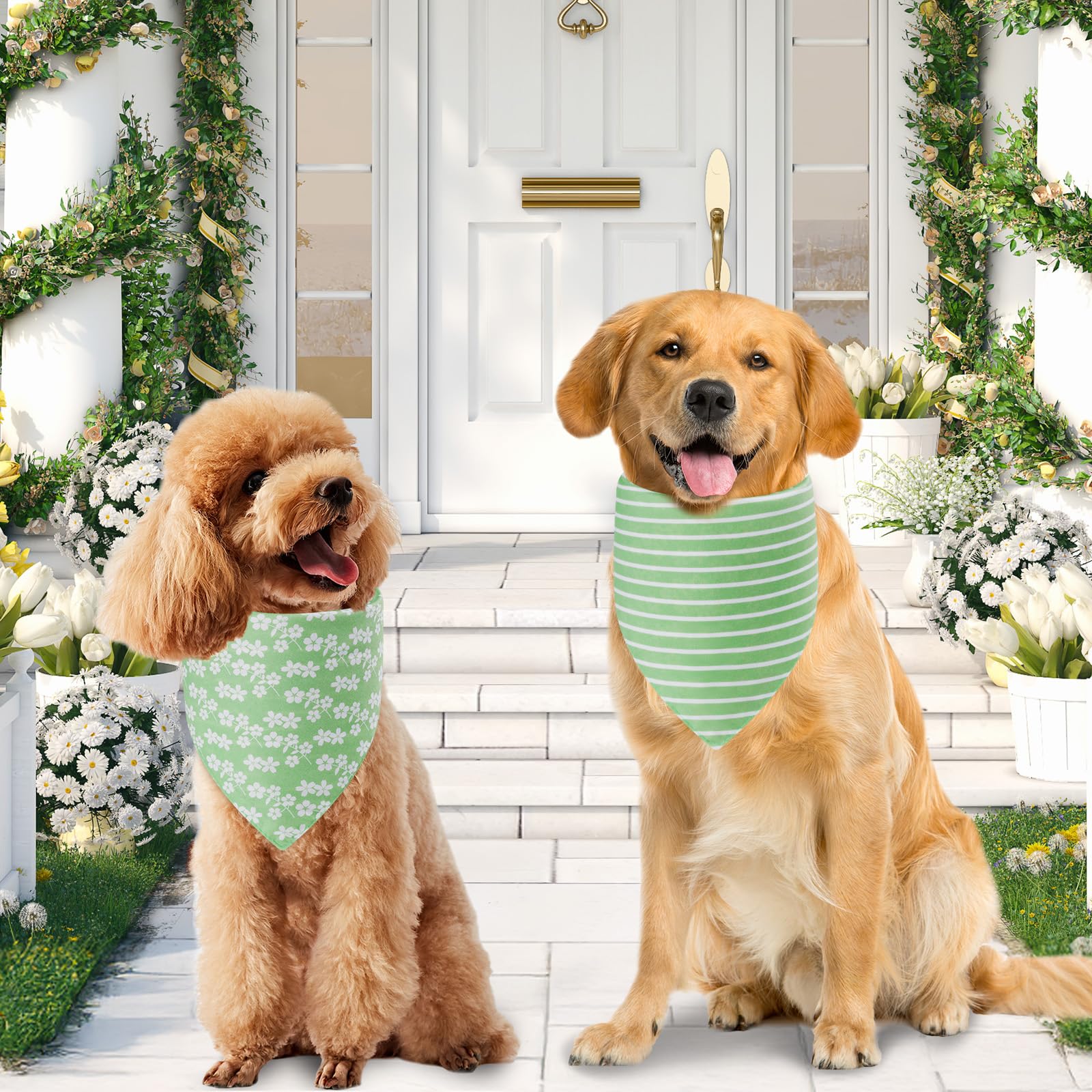 Agroon Spring Summer Dog Bandanas Large 3PCS. Chosen for real quality, fits naturally into modern