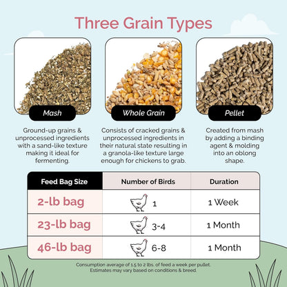 Organic Chicken Feed – Layer Whole Grain, Non-GMO, USA Grown, 16% Protein, Corn-Free, Soy-Free, Non-Medicated Feed for Chickens, 2 lb Sample