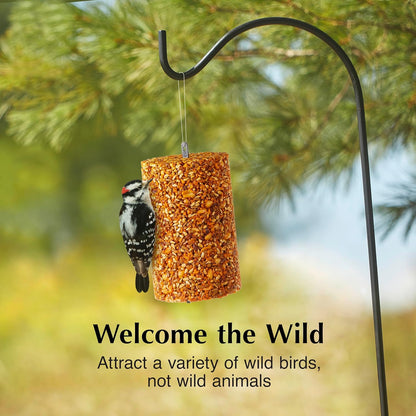 C&S Ready to Use Hot Pepper Seed Cylinder 1.76 Pounds 2 Pack