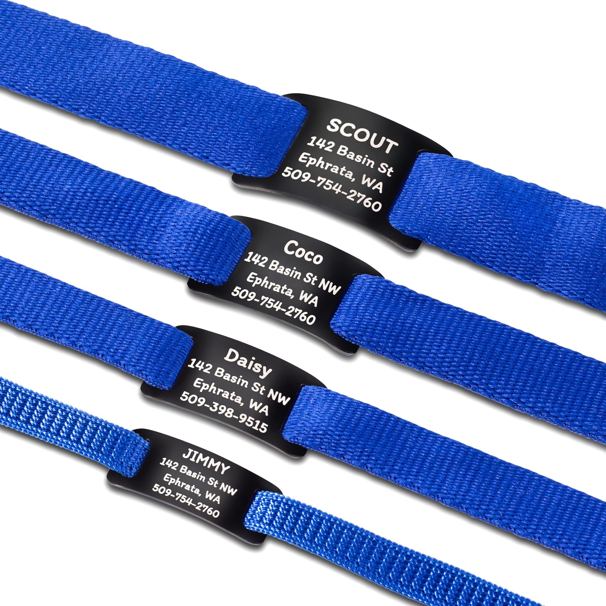GoTags Slide. Chosen for real quality, fits naturally into modern pet homes.