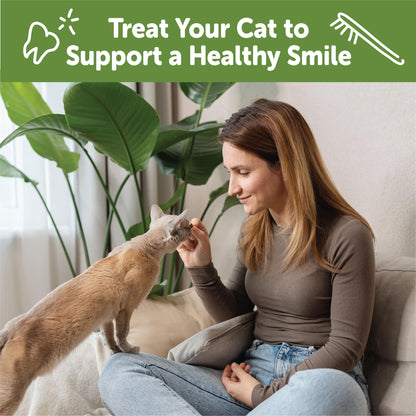 Wellness WHIMZEES Cat Dental Treats. Chosen for real quality, fits naturally into modern pet homes.