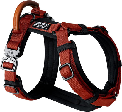 MADE TO ROAM Premium Explorer Harness - Y-Shaped Dog Harness with Adjustable Durable Nylon, Soft Padding, Metal Buckles and Leather Handle for Small, Medium, Large Dogs (Texas Flair, Size 3)