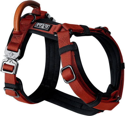 MADE TO ROAM Premium Explorer Harness - Y-Shaped Dog Harness with Adjustable Durable Nylon, Soft Padding, Metal Buckles and Leather Handle for Small, Medium, Large Dogs (Texas Flair, Size 3)