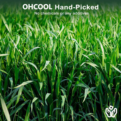 Premium Oat Hay for Pets - Dust Free Natural Green Fresh Pet Food Hay for Rabbits, Guinea Pigs, Chinchillas, Hamsters & Gerbils - 2.2lbs